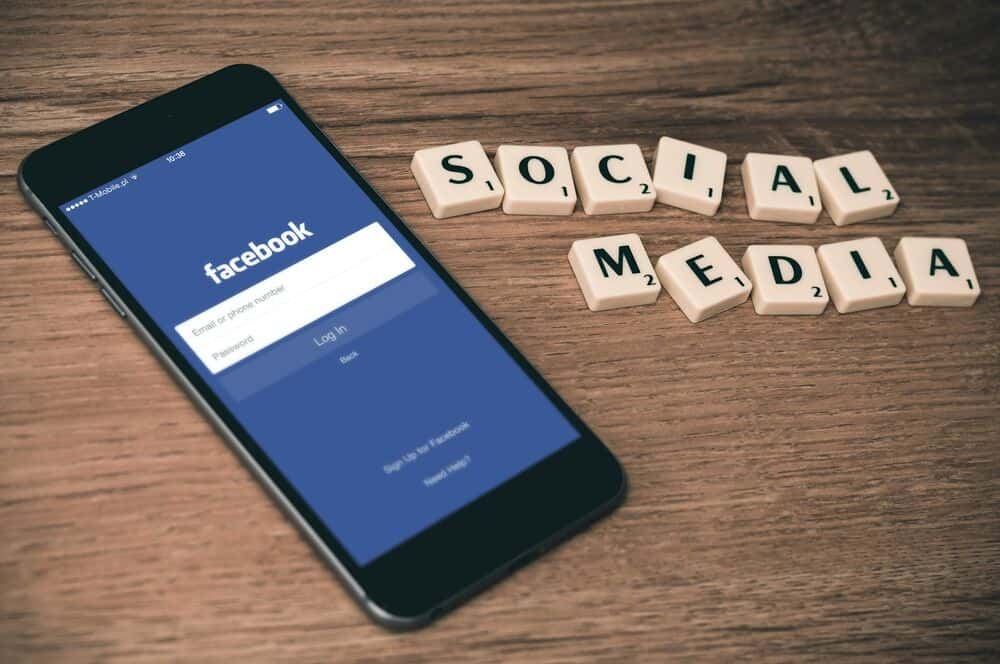 SEO & Contenu